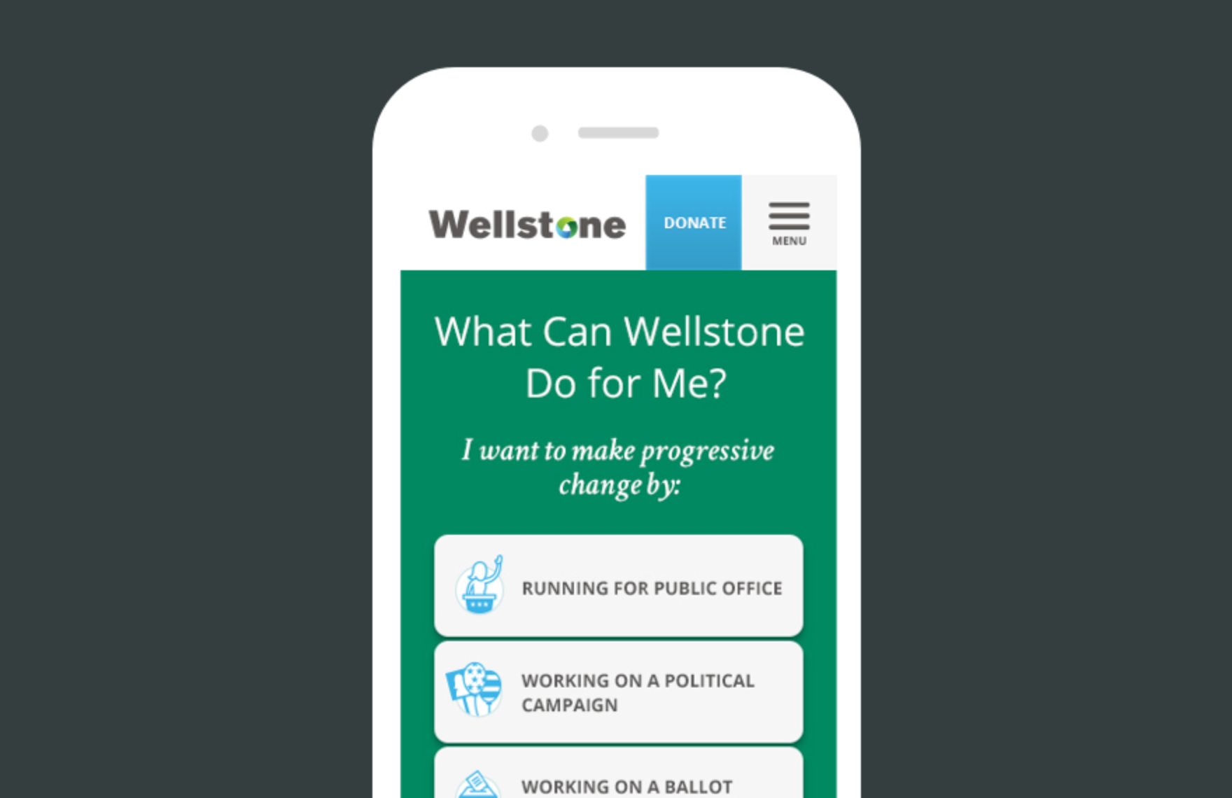 Wellstone Action Teal Media