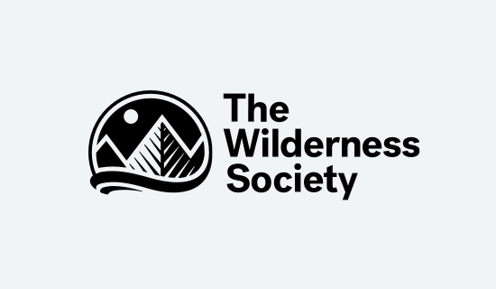 https://tealmedia.com/wp-content/uploads/2019/02/wilderness-society-grid-1-500x291.png