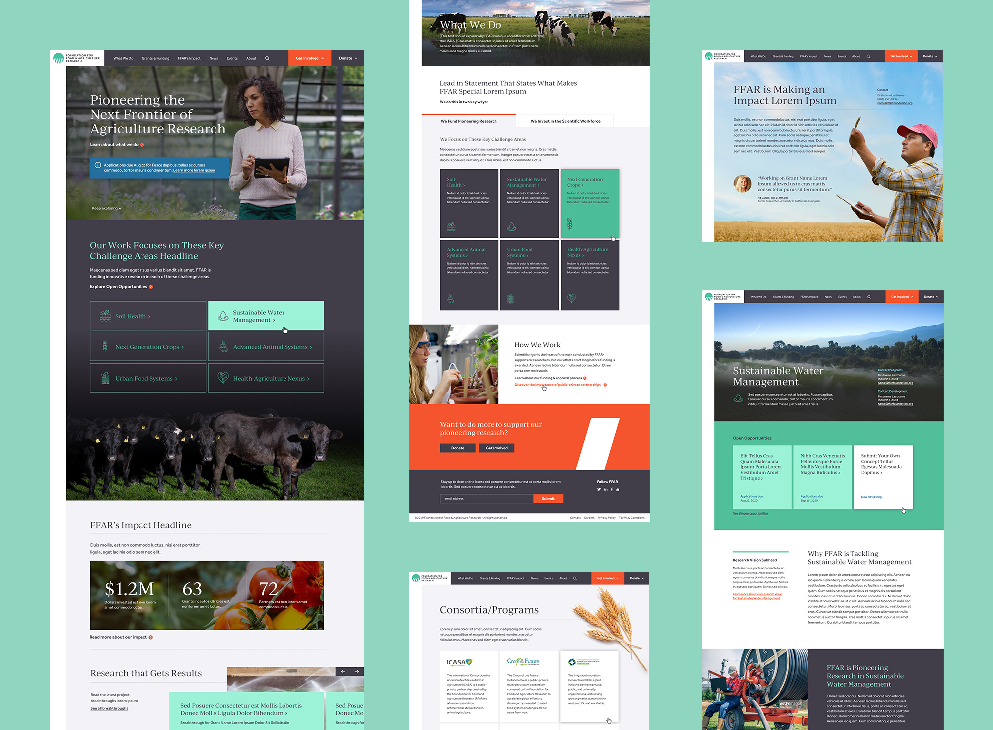 A collage of screen shots from the new website that Teal Media created for the nonprofit organization FFAR.