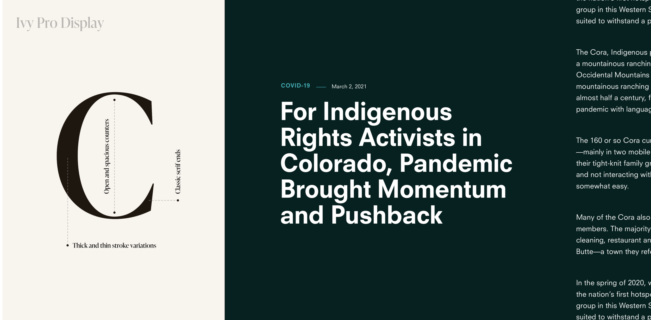 Colorado Trust Teal Media