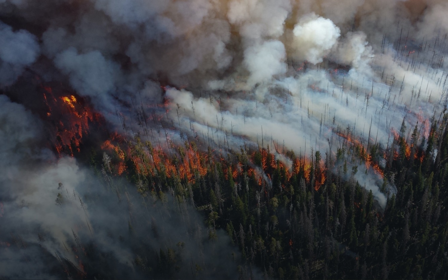 Raging wildfires in California