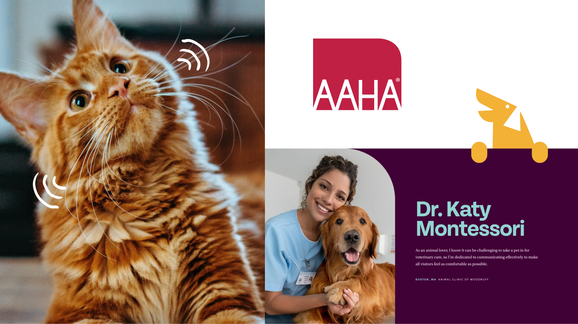 Grid including the logo, cat image, and a banner to feature a veterinarian.