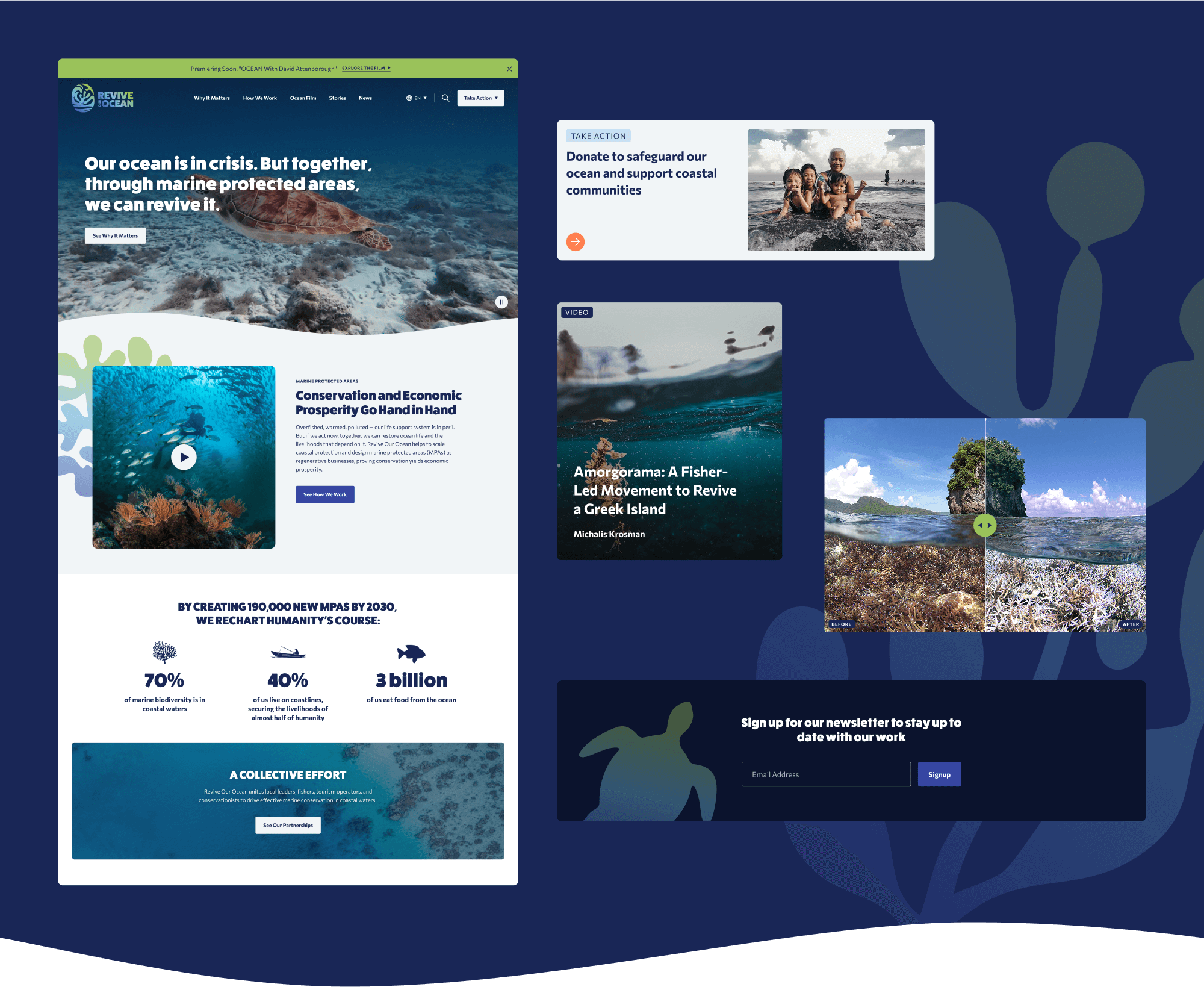 A grid of site elements including the homepage, a Stories card, a comparison slider, an email signup form, and a featured Case Study promo.