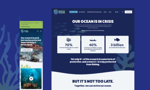 Mobile view of the homepage alongside the desktop view of the top section of the 'Why it Matters' page.