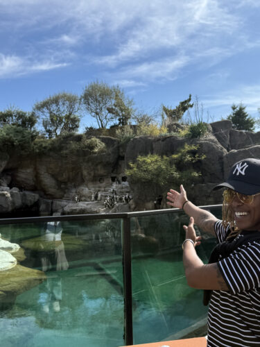 Jarika Johnson, Senior Digital Strategist