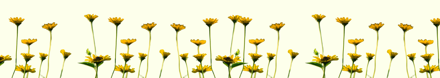 Yellow flowers in a row