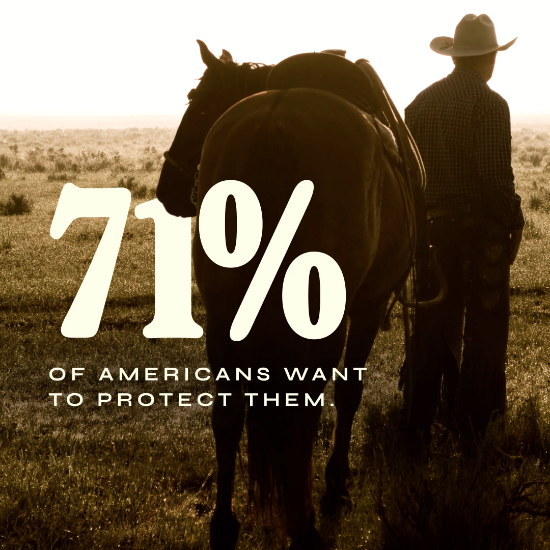 A cowboy and horse looking off into the distance with text that reads: 