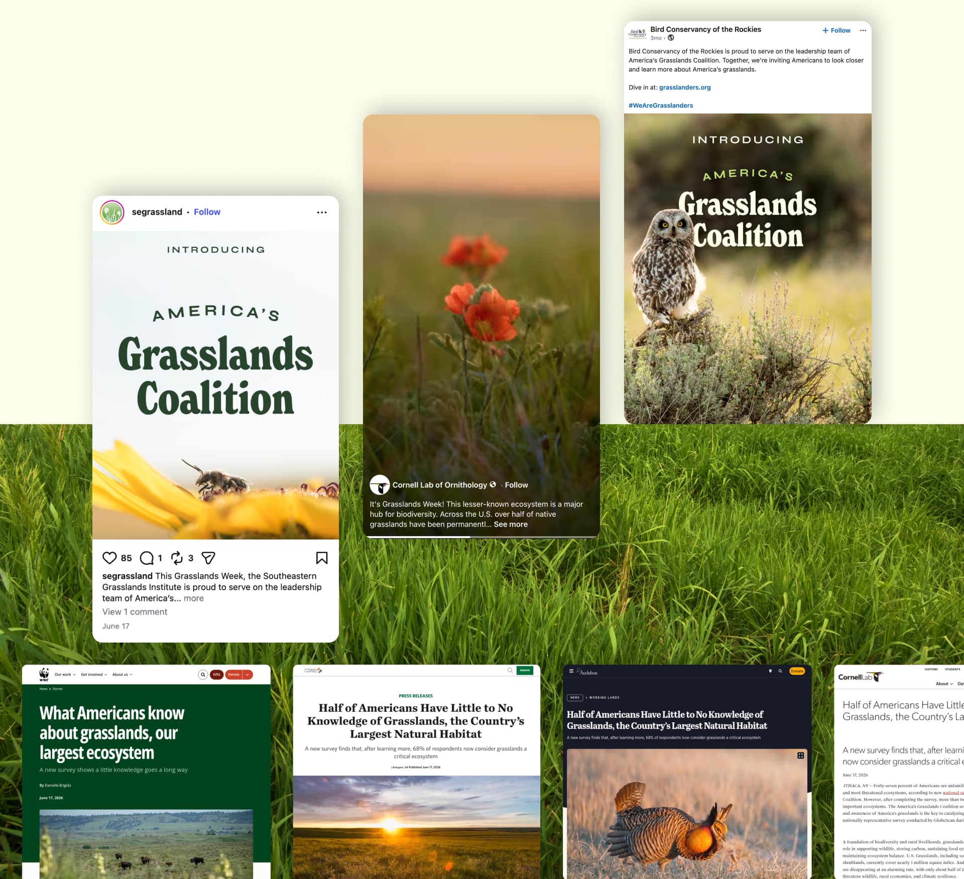 Collage of organic support