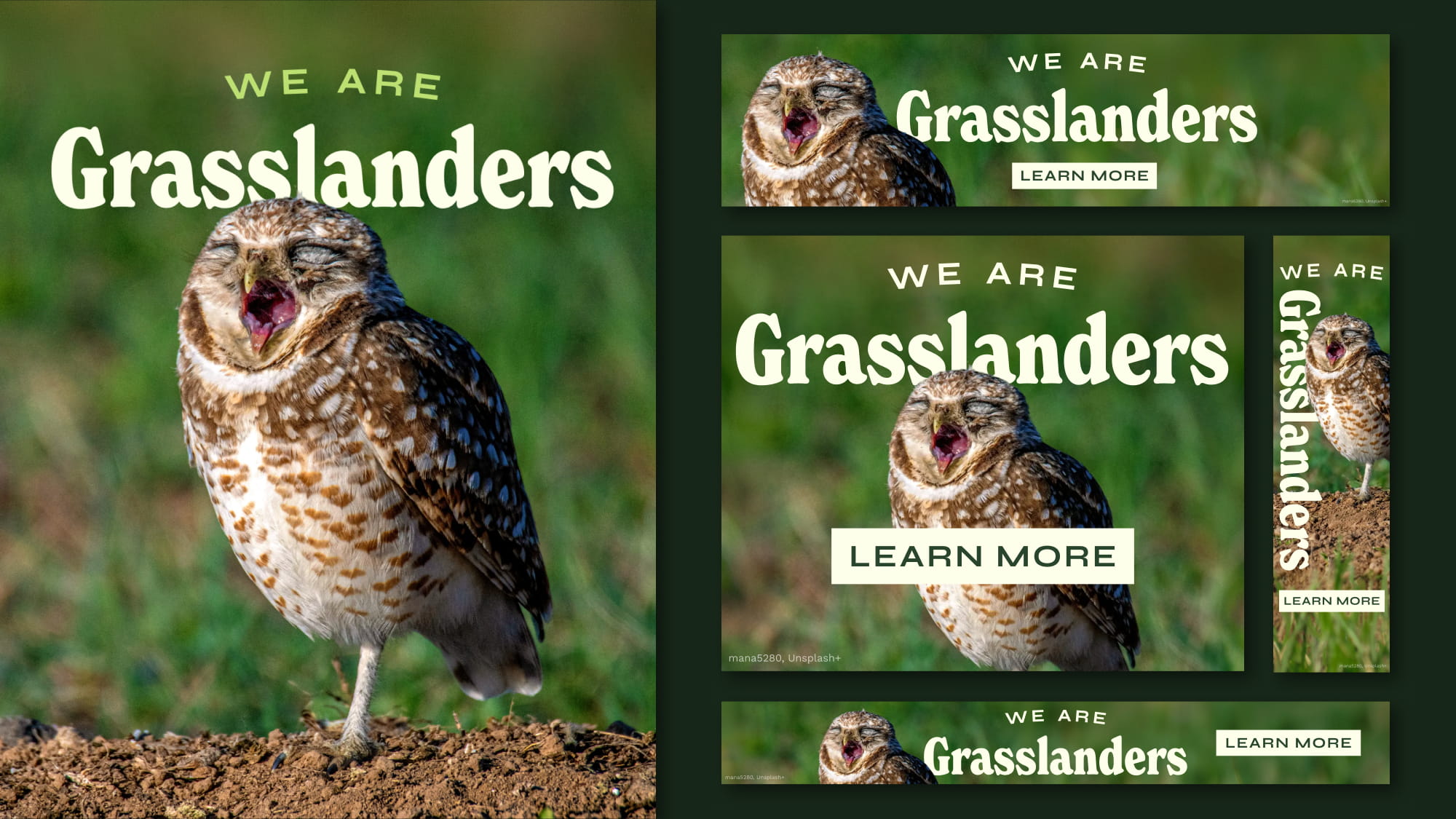 Owl yawning ad set in Meta, Reddit, and Programmatic sizes