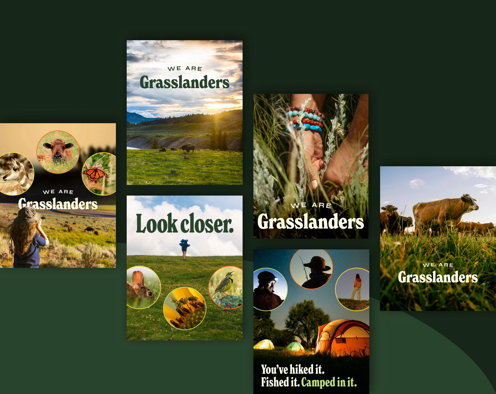 Collection of various grasslands ads