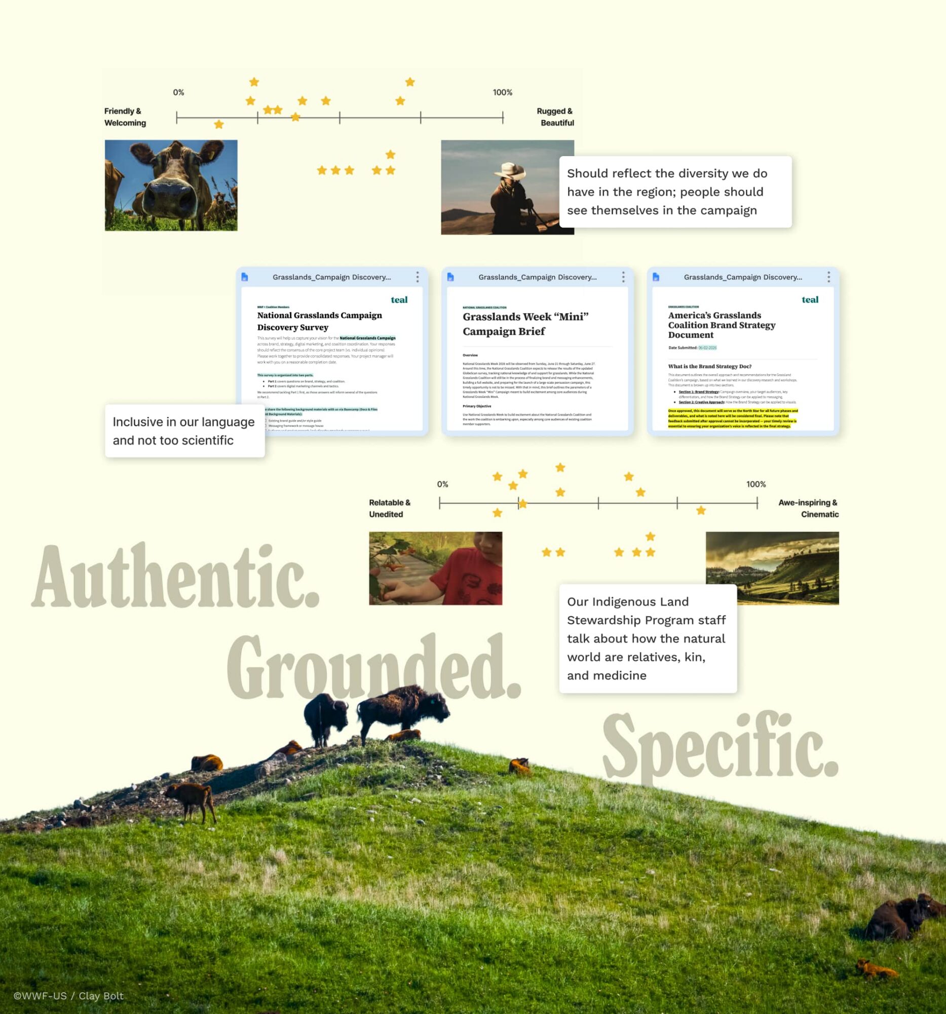 Collage of discovery and process screenshots for the brand and campaign strategy collaged with an image cut-out of buffalo on a hill.