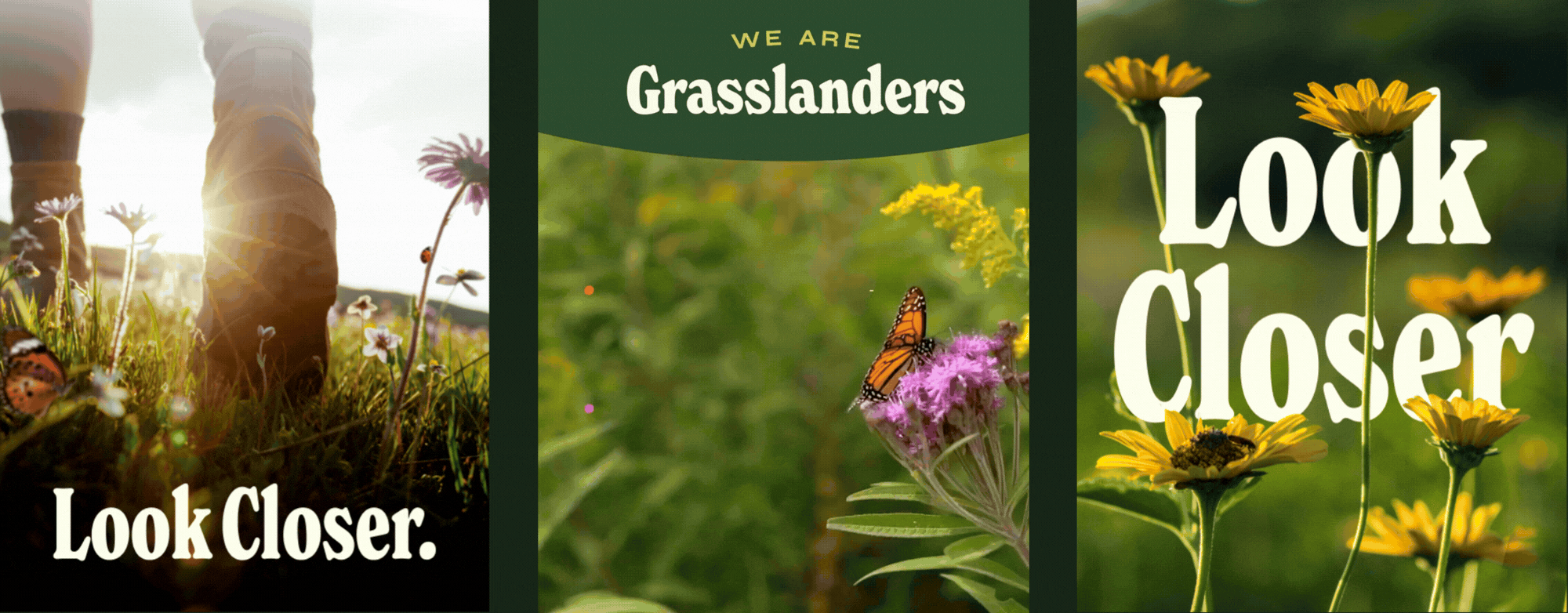 Gif of three instagram graphics: one with a hiking boot that reads 