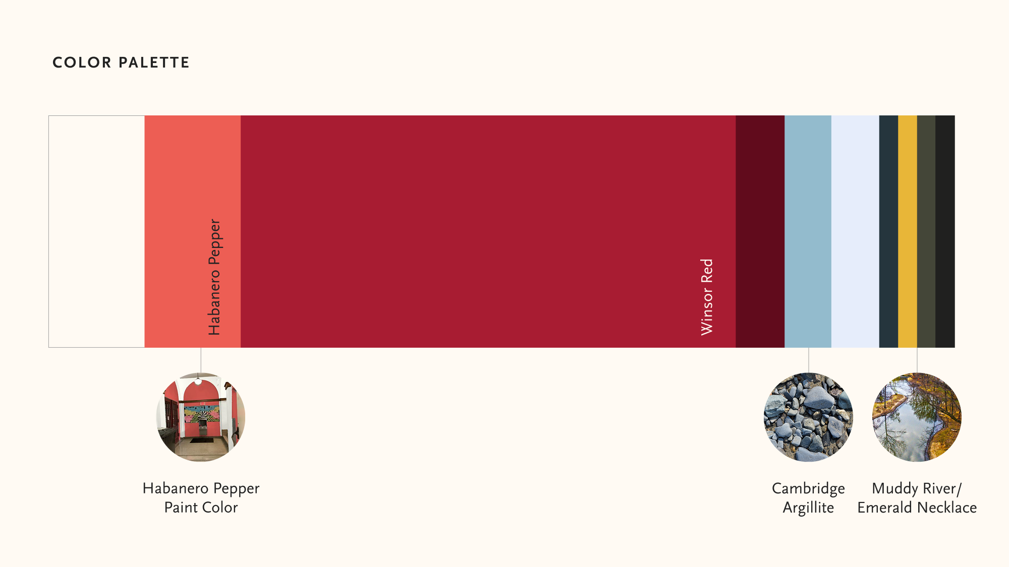 The Winsor brand color palette: cream, coral, bright crimson, maroon, slate blue, pale blue, dark slate blue, gold, muddy green